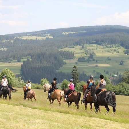 Domek Pod Zielonym Lasem Zakopane Esterno foto